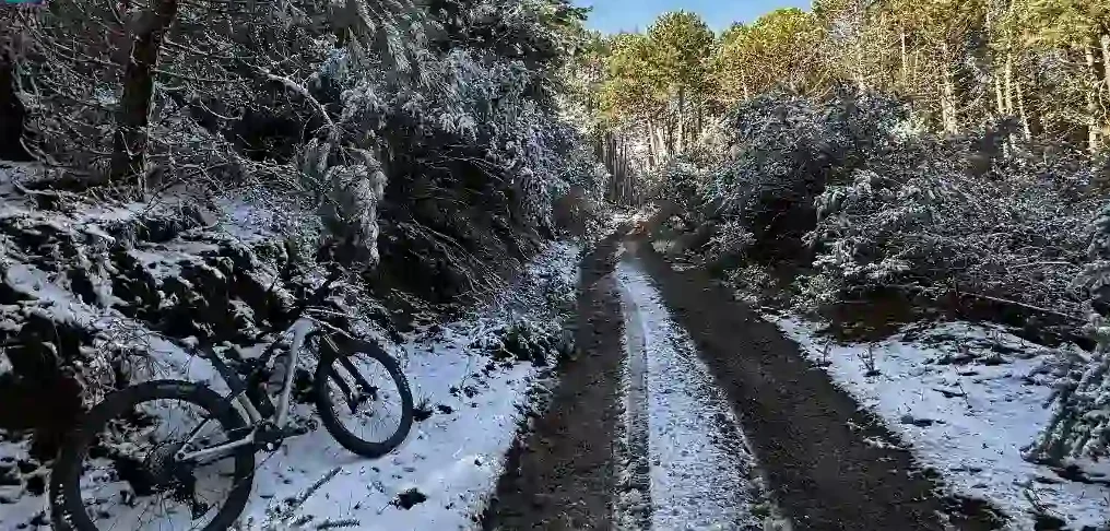 Málaga aus einer anderen Perspektive erkunden