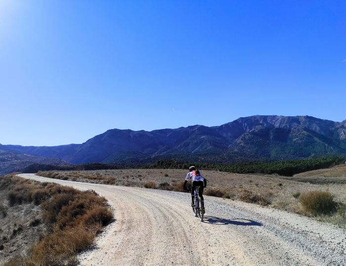 rental bicycle Torre del Mar