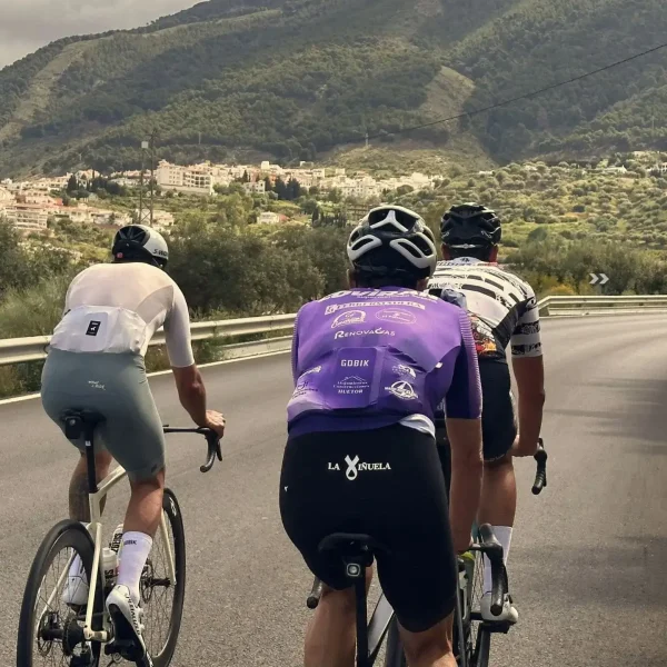 Malaga rent a road bike company